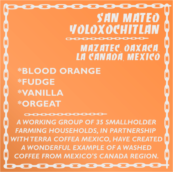San Mateo Yoloxochitlan - Washed