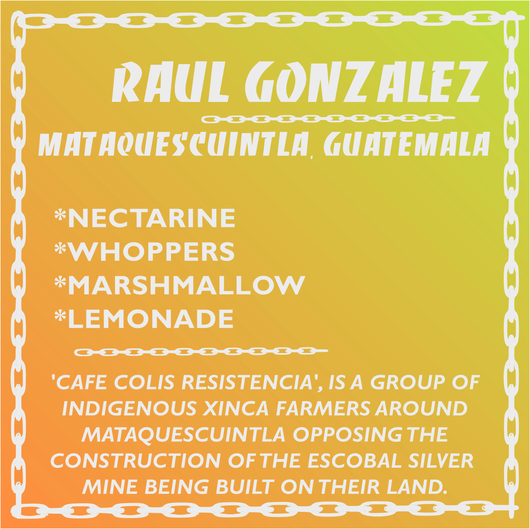 Raul Gonzalez Washed Shuv Coffee