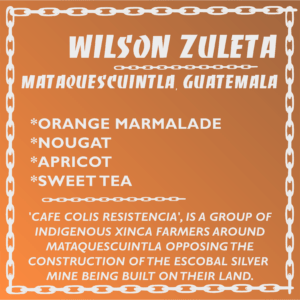Wilson Zuleta - Washed